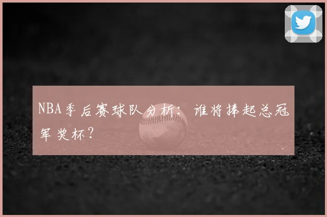 NBA季后赛球队分析:谁将捧起总冠军奖杯?