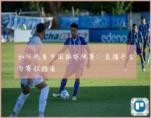 如何观看中国排球联赛：直播平台与赛程指南