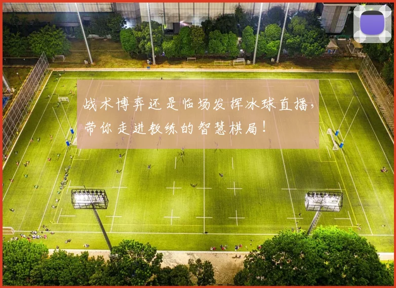 战术博弈还是临场发挥冰球直播，带你走进教练的智慧棋局！