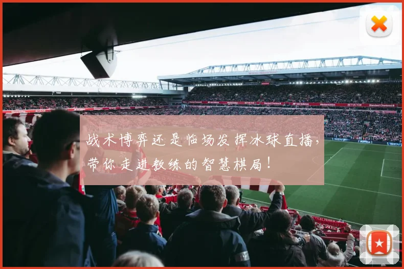 战术博弈还是临场发挥冰球直播，带你走进教练的智慧棋局！